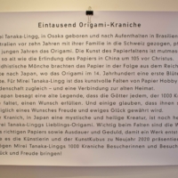 Kraniche-12